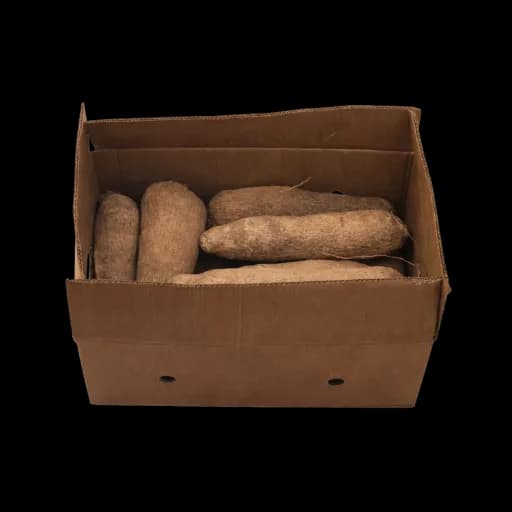 Carton IGNAME Frais +/- 19 KG