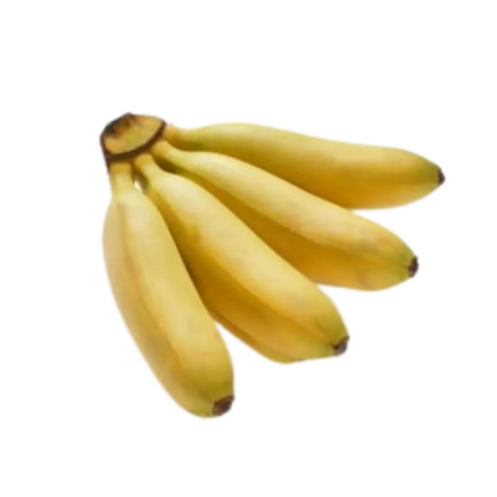 Banane Fifi Petit Ouganda