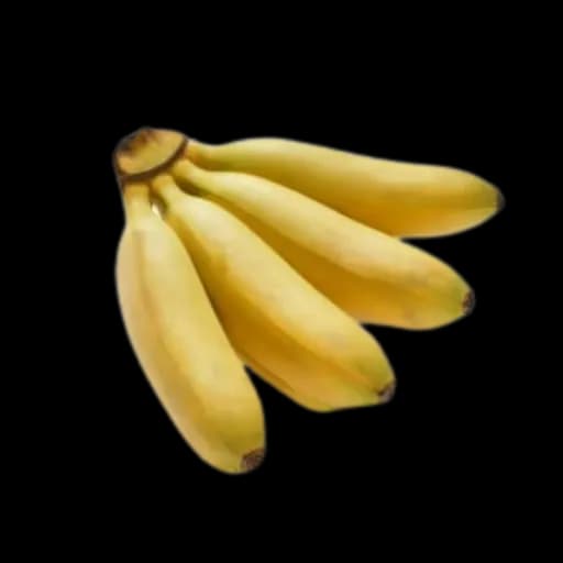 Banane Fifi Petit Ouganda
