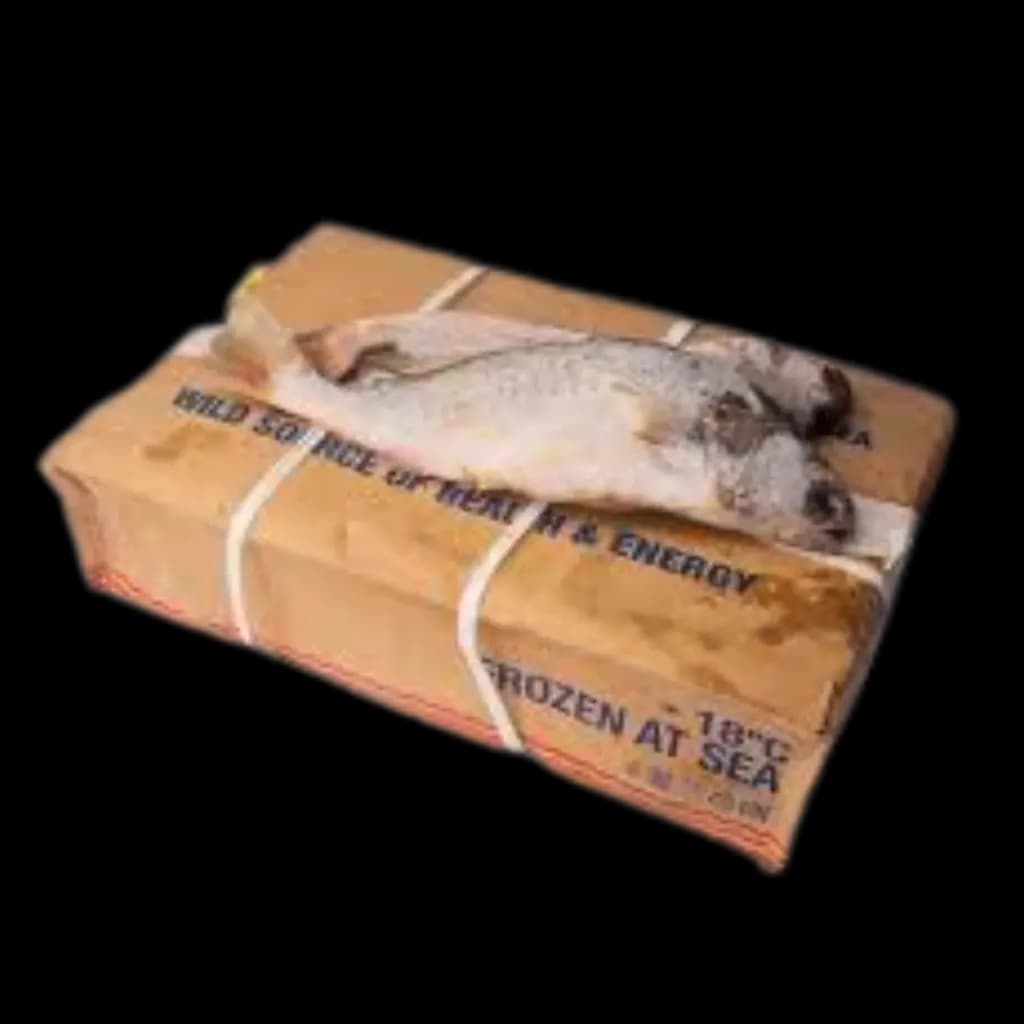 Carton Croaker Malwa 5 KG