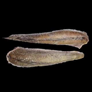 Perfit Hake Merluza /KG