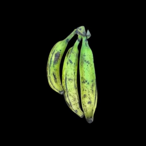BANANE PLANTAIN Cm