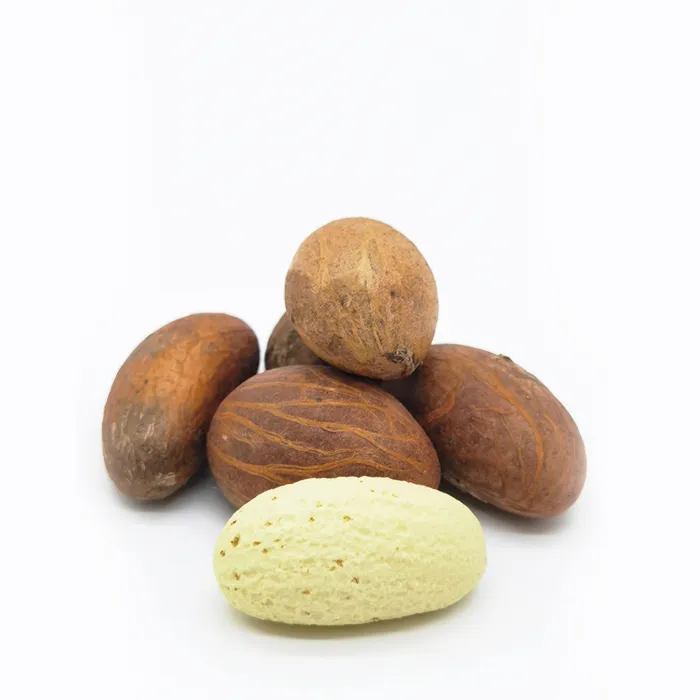 Bitacola