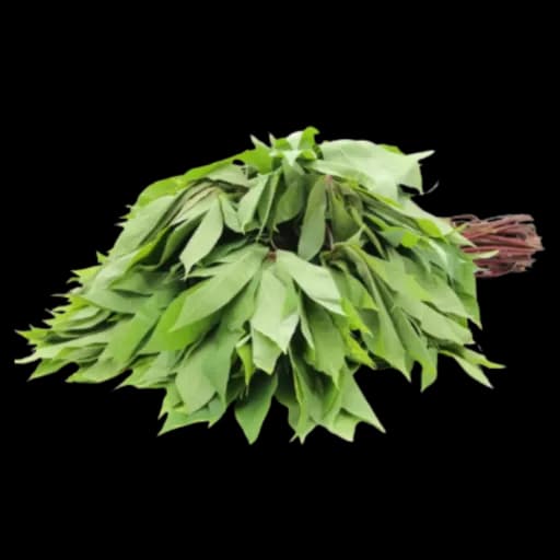 Feuilles de Patates DOUCES-MATEMBE 80 G Issa Guinee
