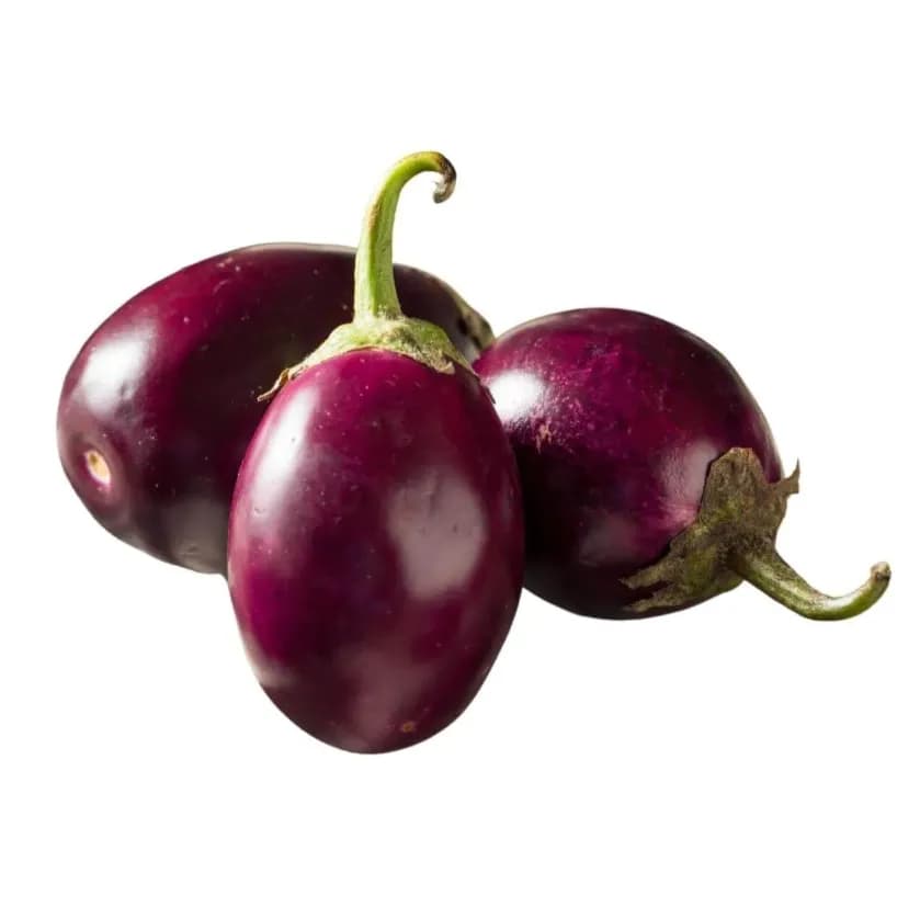 Aubergine Inde(mauve)