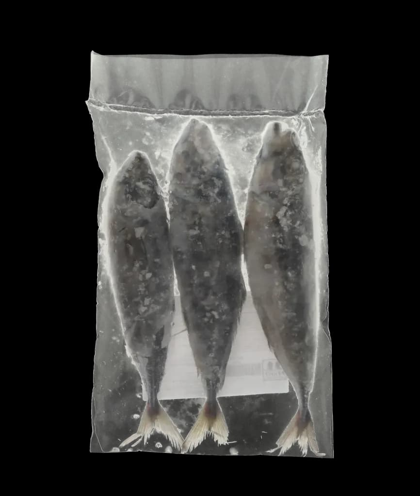 Perfit Horse Mackerel 300/500 Portugal /KG