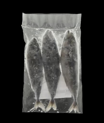 Perfit Horse Mackerel 300/500 Portugal /KG