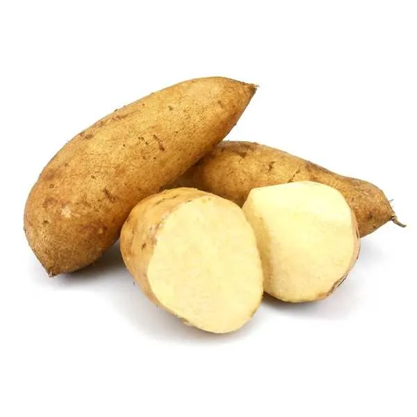 Patate Blanche Honduras