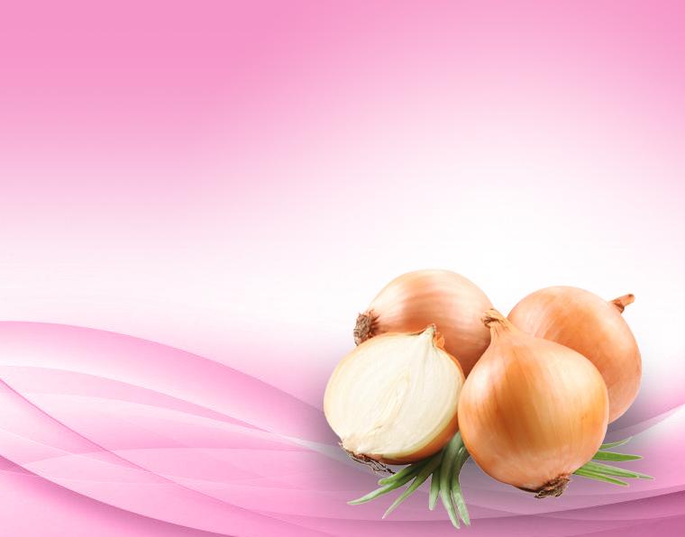 Everyday Fresh & Clean with Our Products